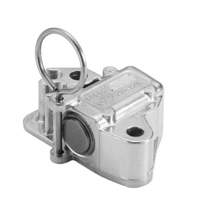 kopen Auto Timing Chain Tensioner LR051008 LR095472 C2Z28428 C2Z20682 AJ813898 AJ812419 Voor Land Rover Range Rover Sport Vogue Jaguar online vervaardiging