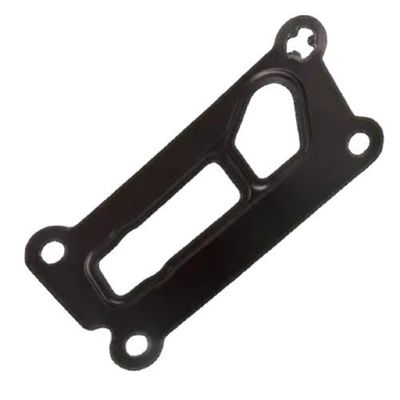 Adapter Gasket Elring LR025007 Voor Land Rover Discovery Sport Range Rover Sport Evoque Freelander